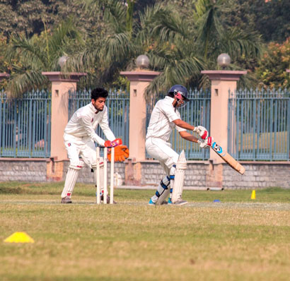 Cricket